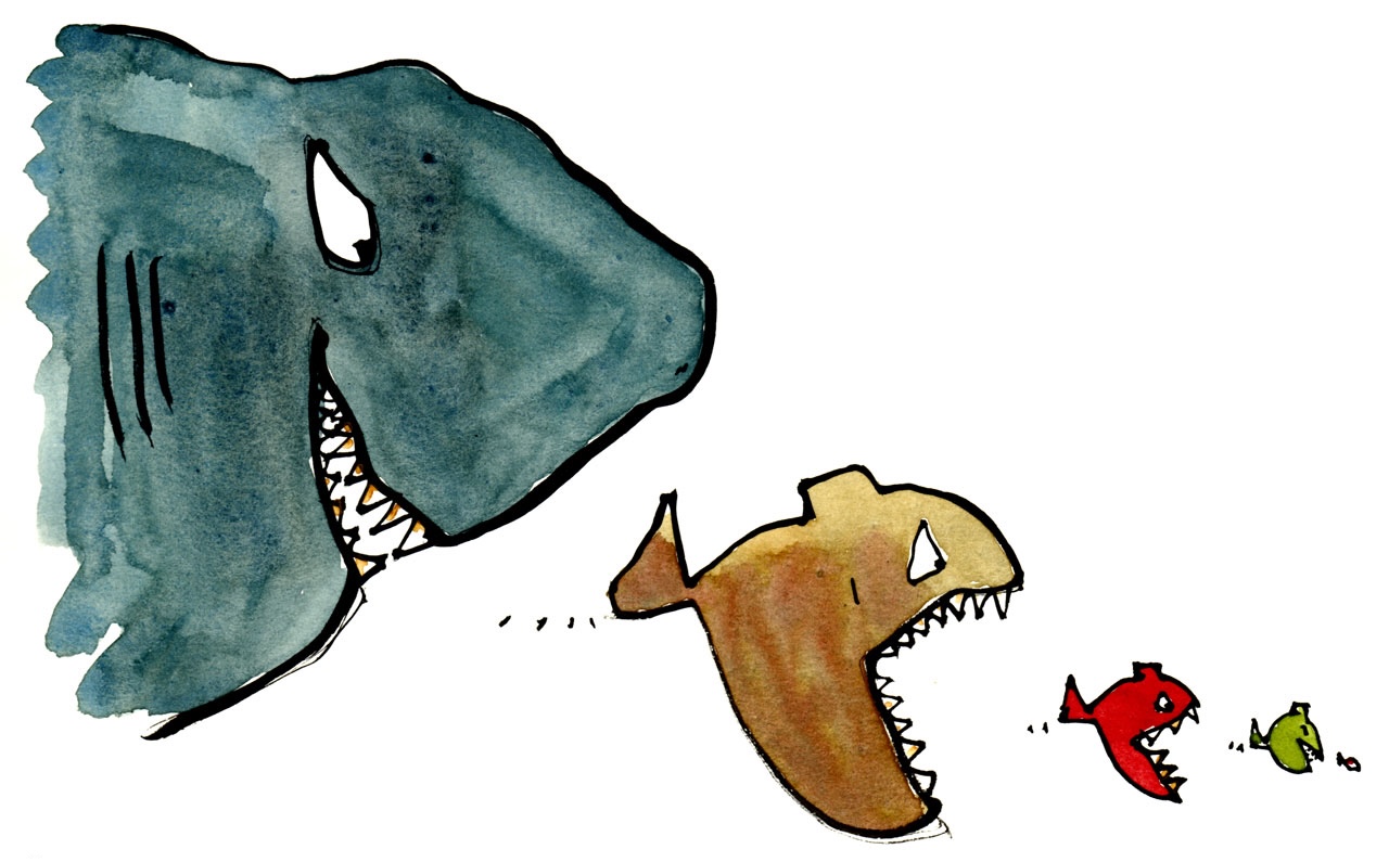 Software eating the world — the shift that reshaped hardware product management